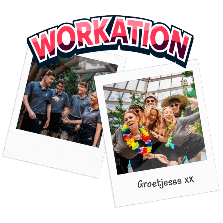 Teamleden van Albron op workation, genieten van gezelligheid en samenwerking tijdens een werkuitje.