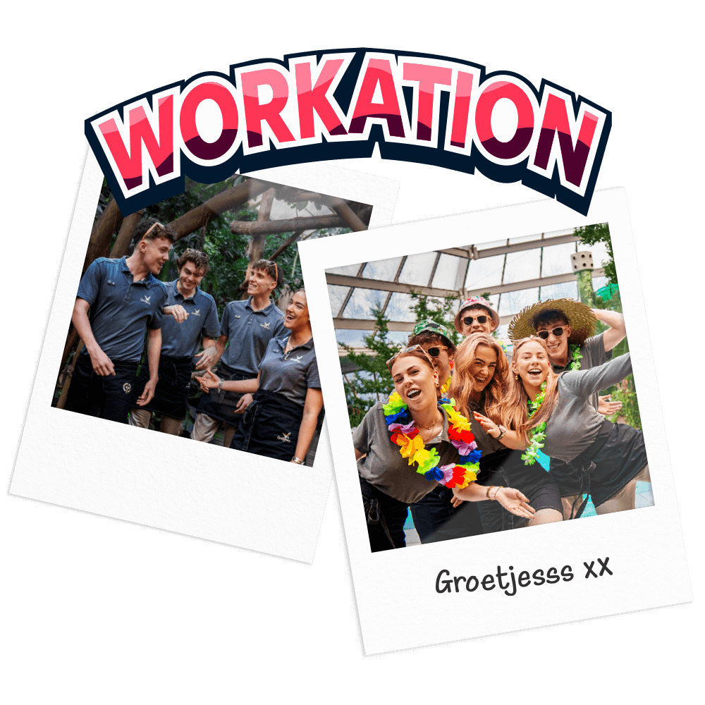 Teamleden van Albron op workation, genieten van gezelligheid en samenwerking tijdens een werkuitje.